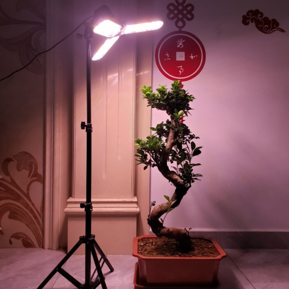 Light Bulb Stand 2M, E27 AC So - Photography Umbrella avis et prix