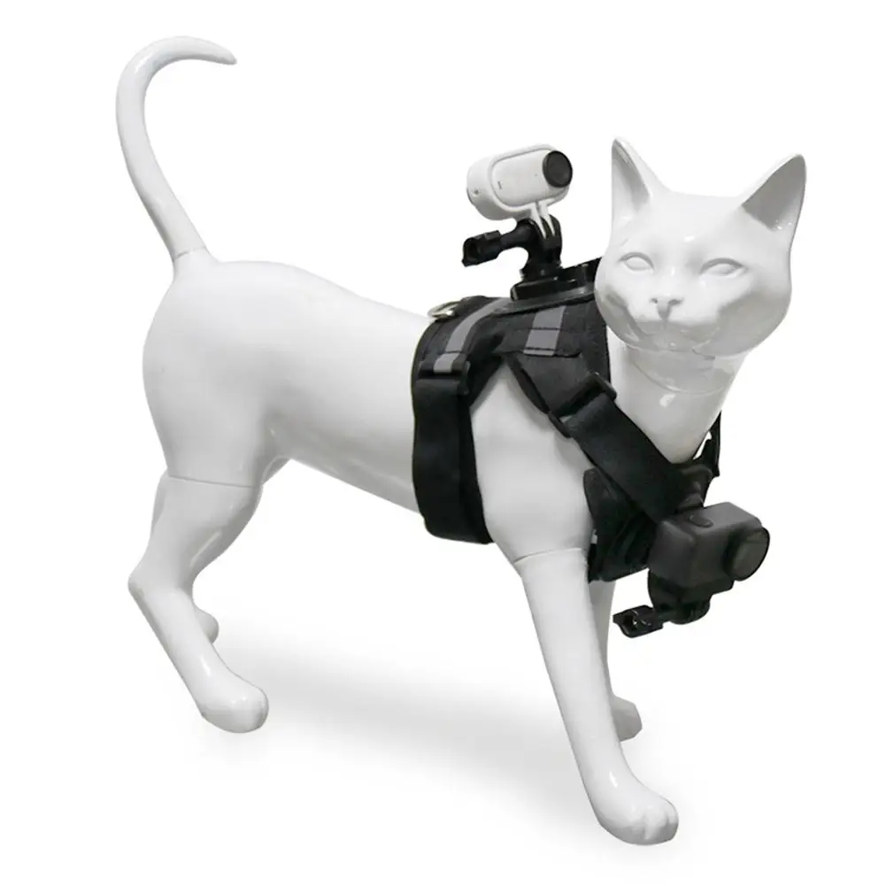 Pet Cat Vest Photo Stand First - Photography Zone avis et prix
