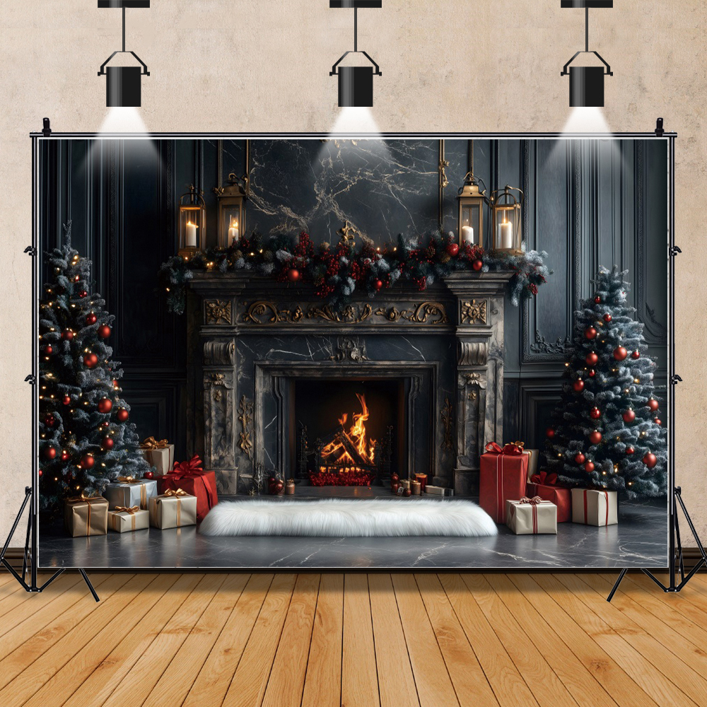 Gothic Castle Christmas Photog - Photography Zone avis et prix